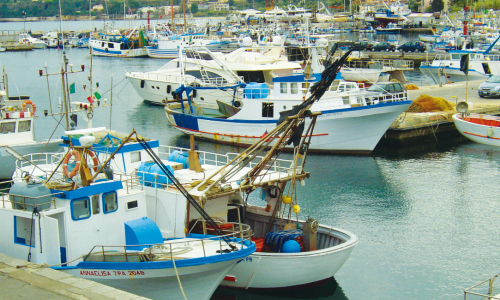 ARTICOLO-FEDERPESCA-COLDIRETTI