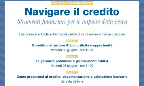 FP_NavigareCredito
